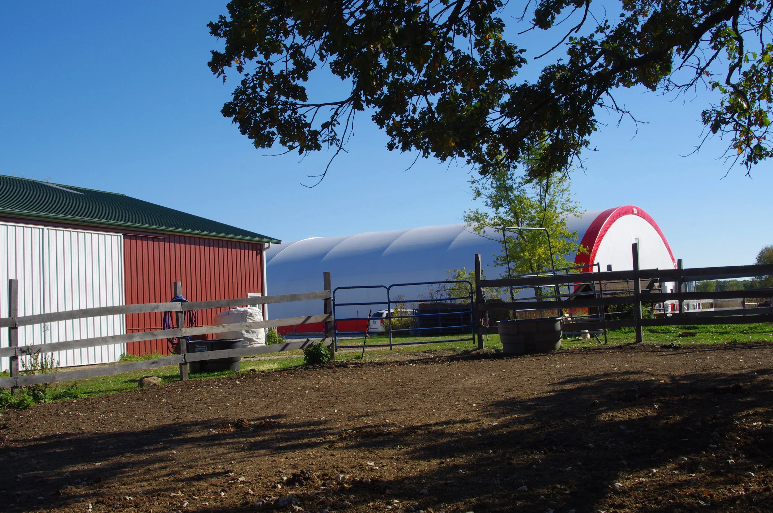 IMGP8012.JPG