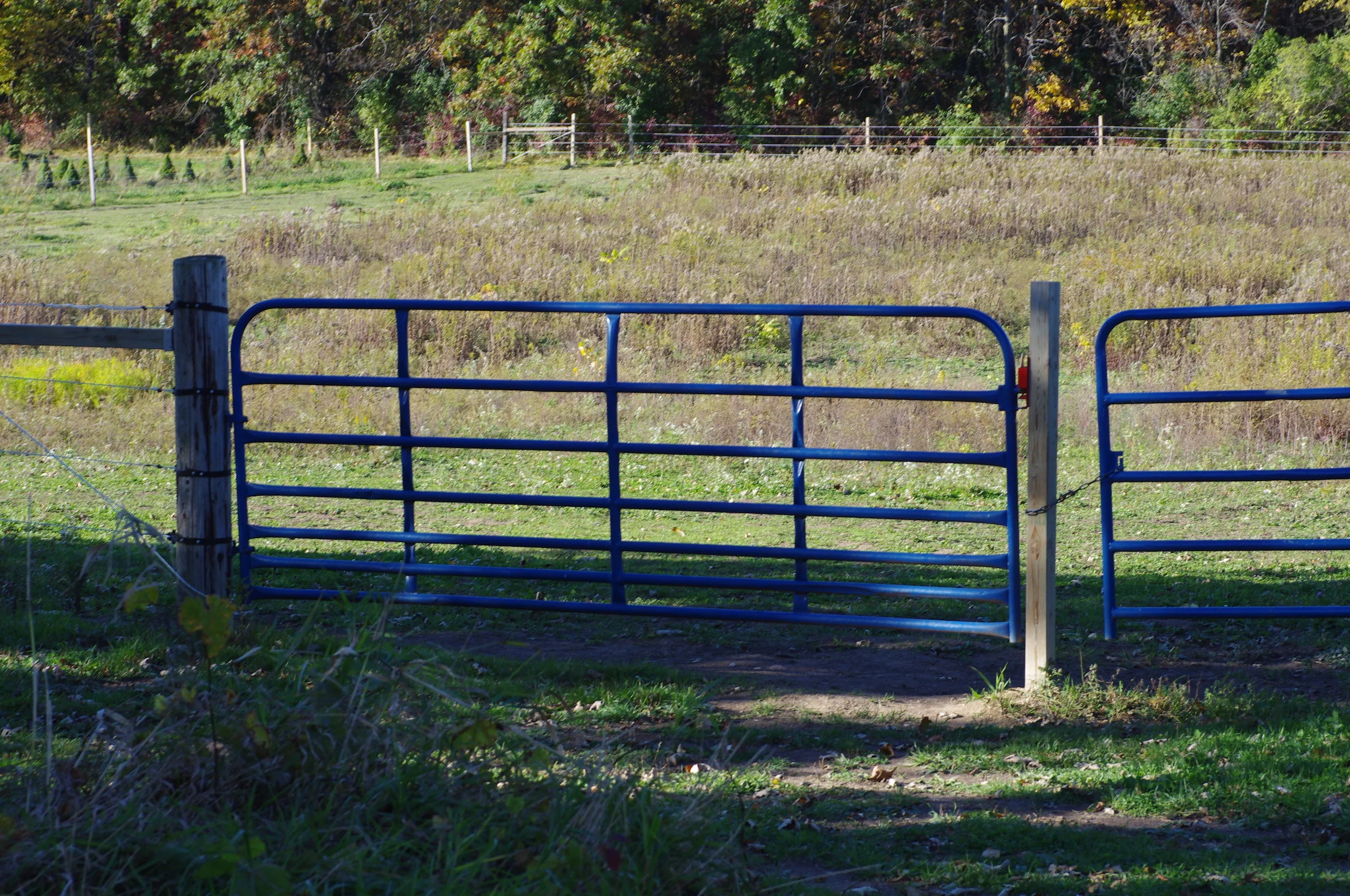 IMGP8258.JPG
