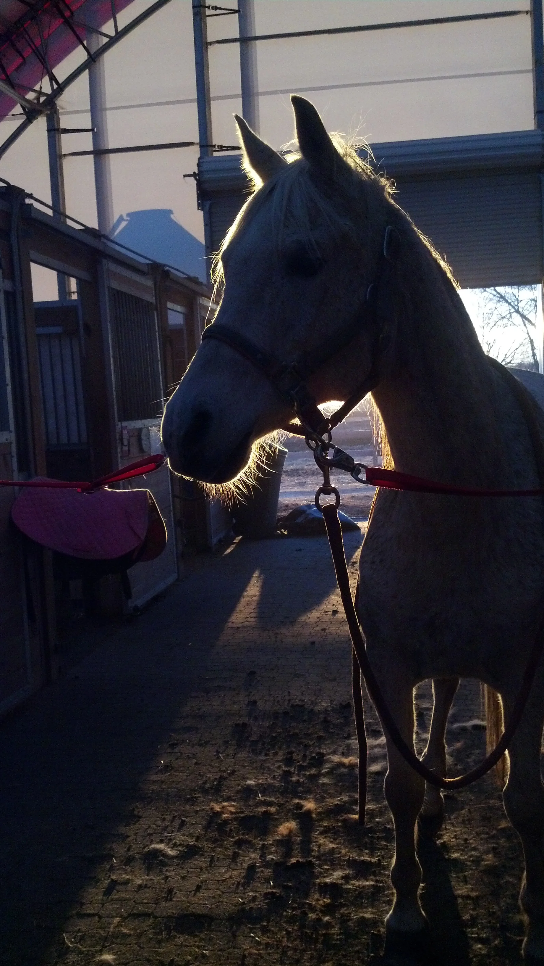 2014-03-31_18-56-52_387.jpg