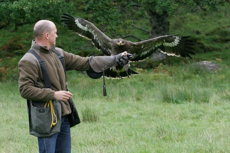 steve and ivan, the steppes eagle.jpg