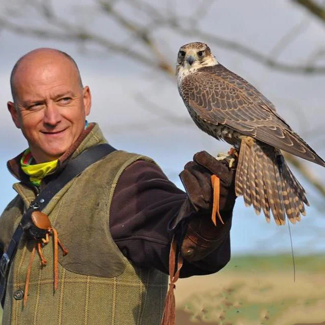 SBfalconer.jpg