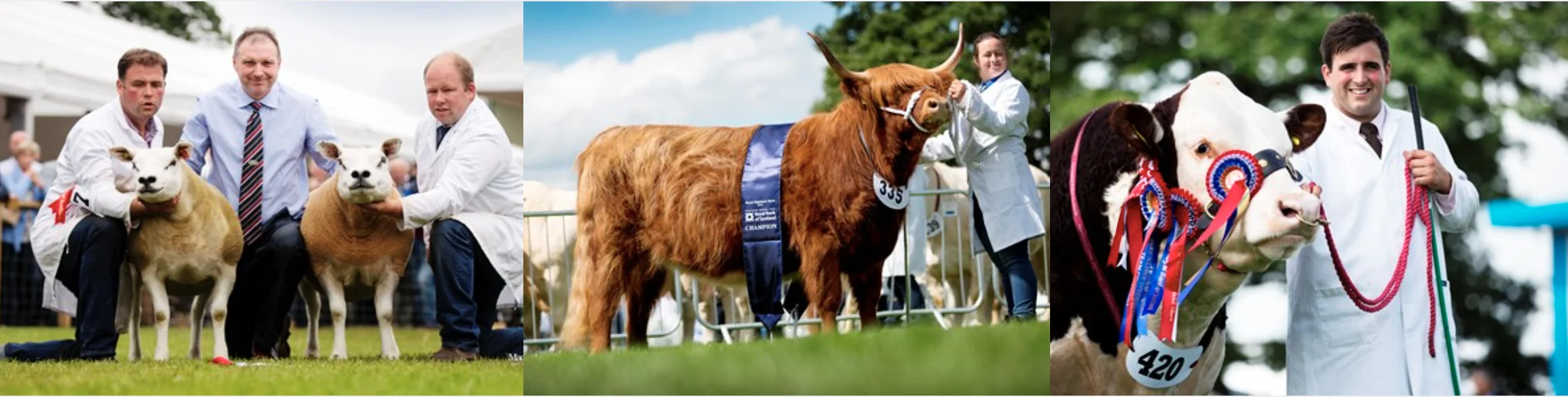livestock.jpg