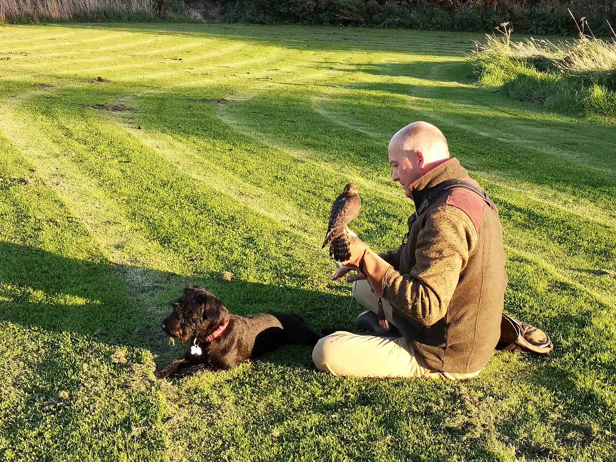 Peter Patterdale, Merlin Jim and Falconer Steve