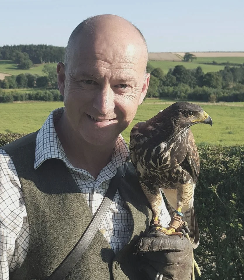 Why are Harris hawks the most popular bird of prey used in falconry in the  UK today? — the SCOTTISH countryman