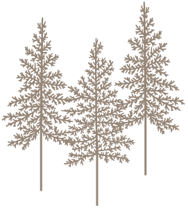 Trees Graphic 1 - Use on White Background 300px.png