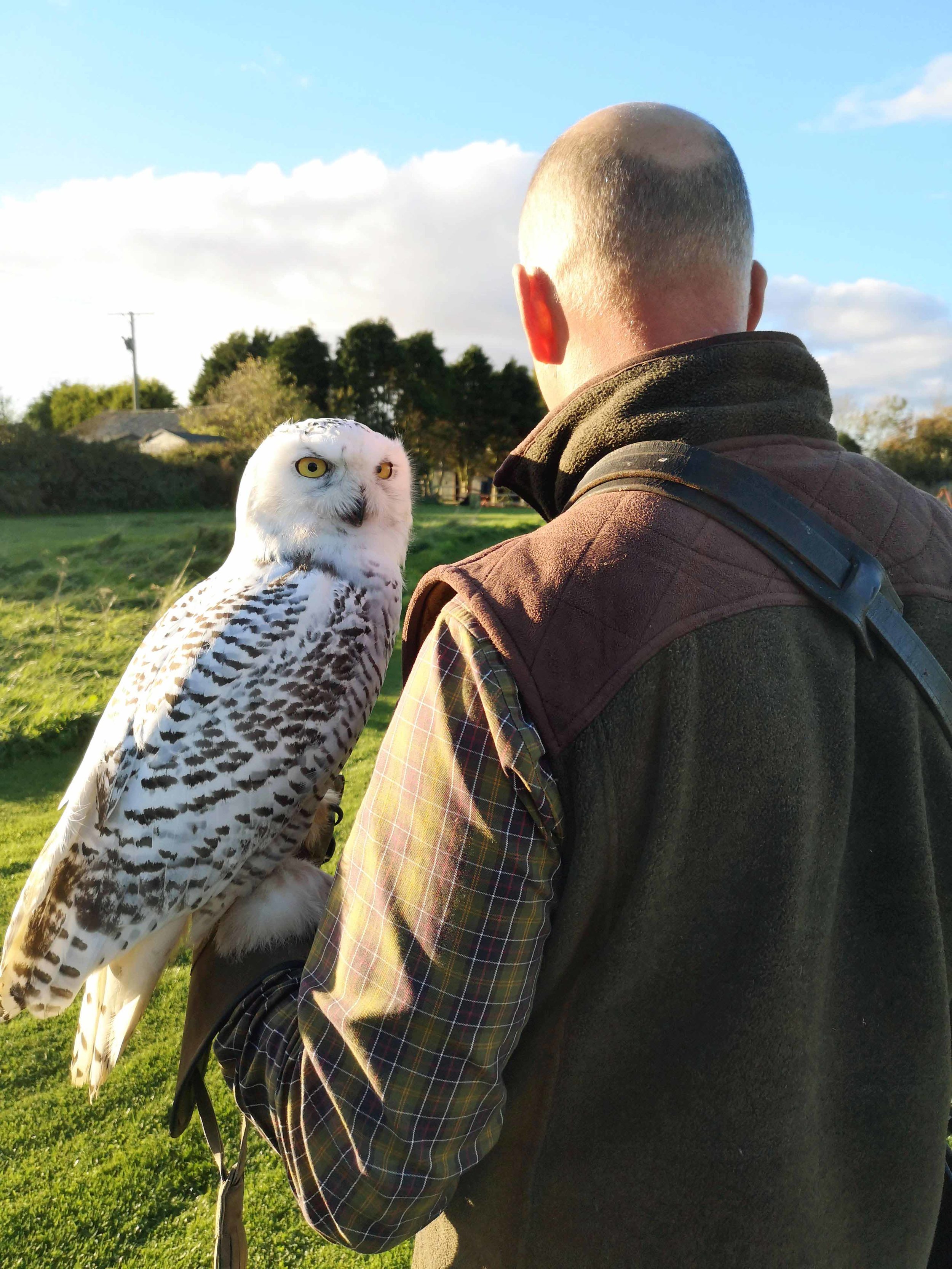 Argyll on Steve's arm.jpg