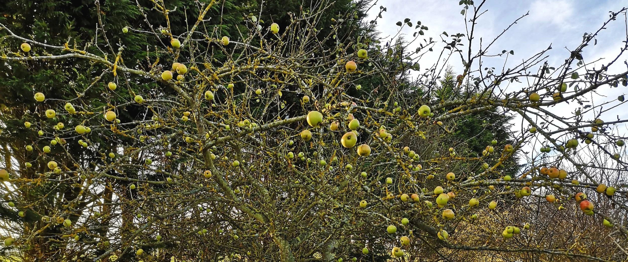 IMG_20181204_112637.jpg