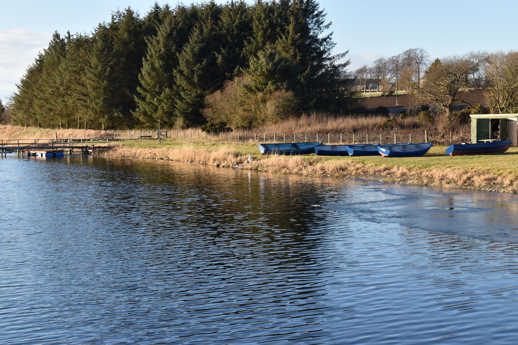 Cameron Reservoir boats and bank.JPG