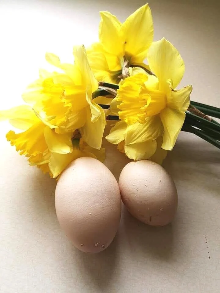 Hens eggs from Hammer Inn (Copy)