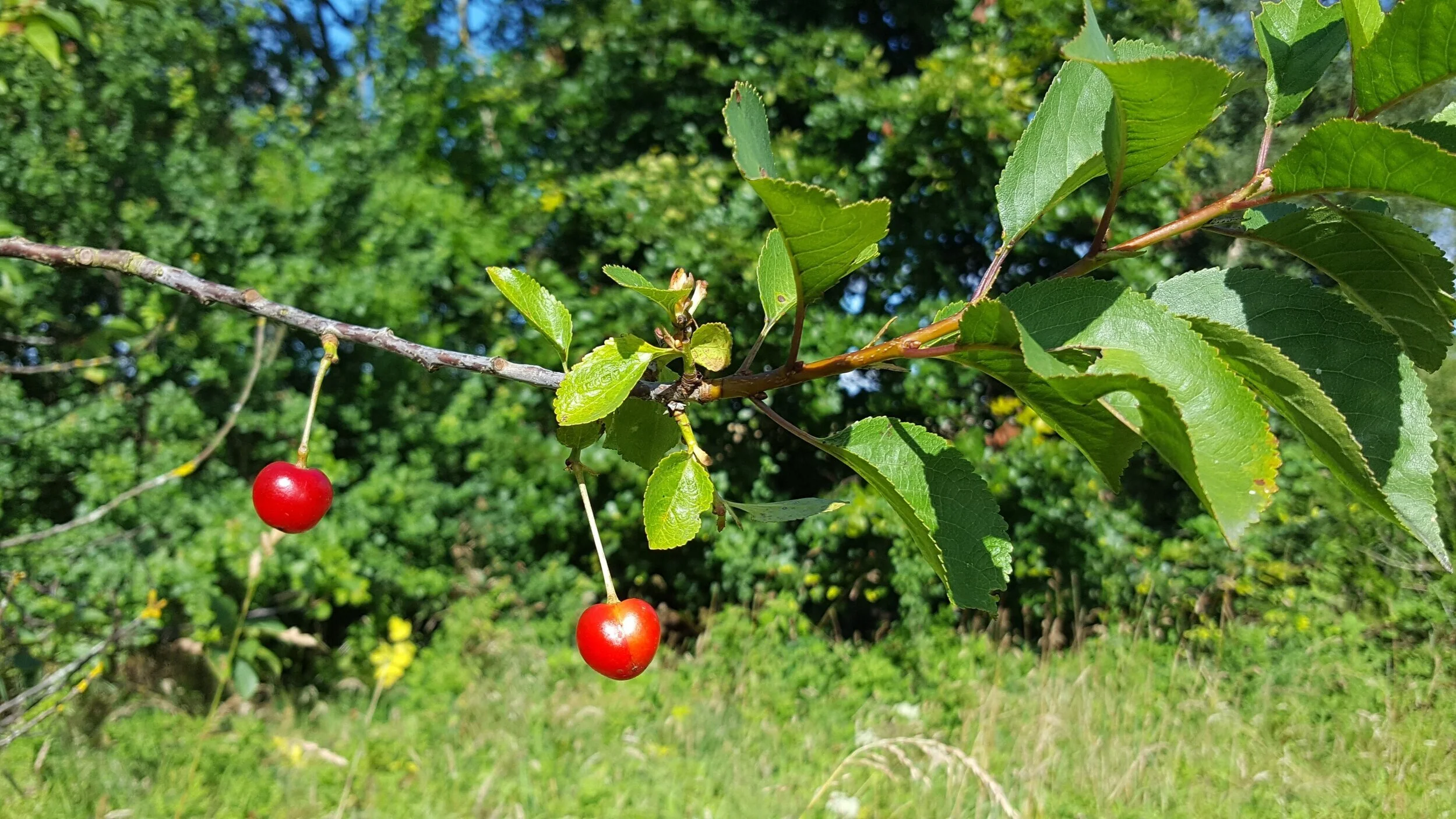 20160813_104215.jpg