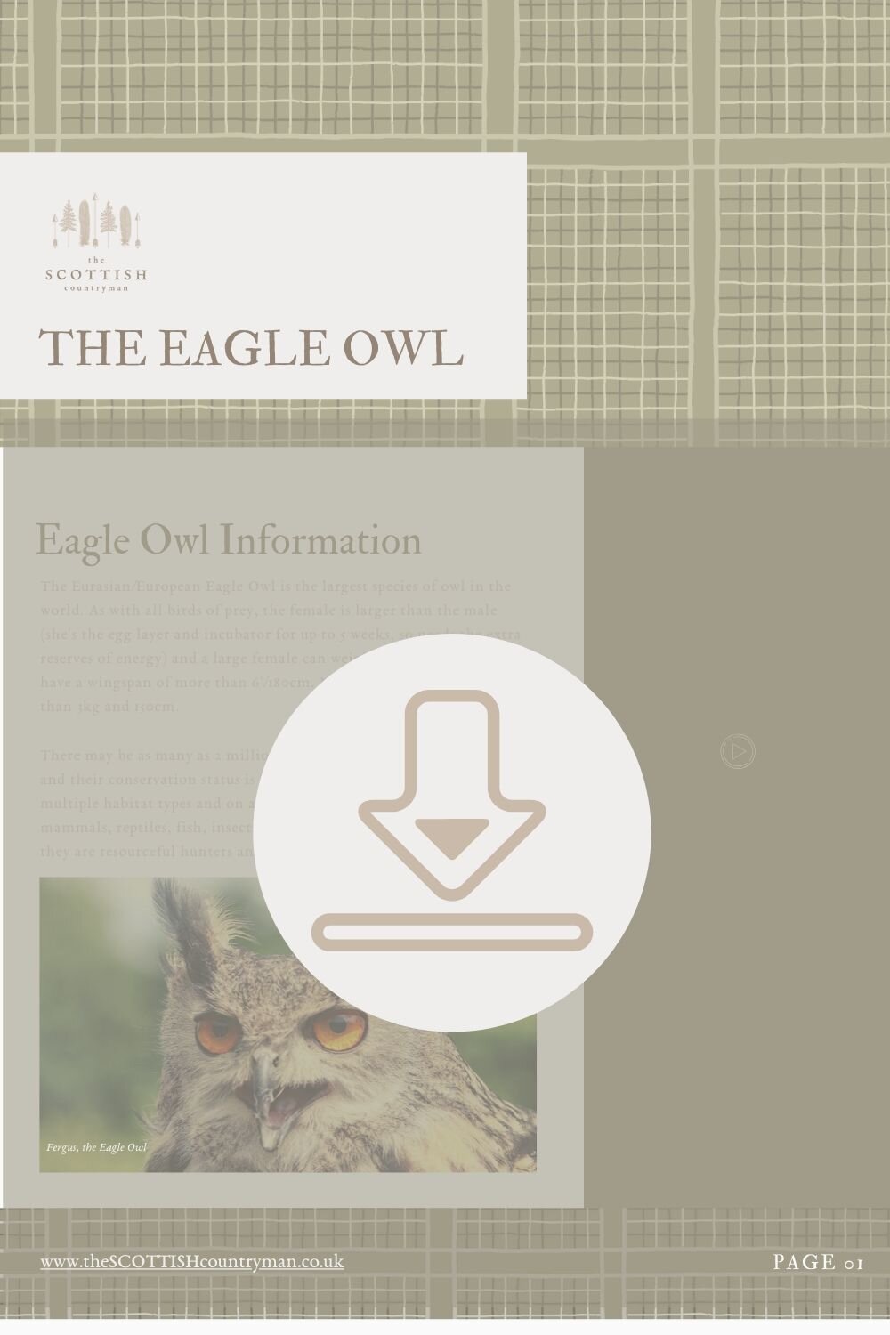 The Scottish Countryman: Eagle Owl Fact Sheet