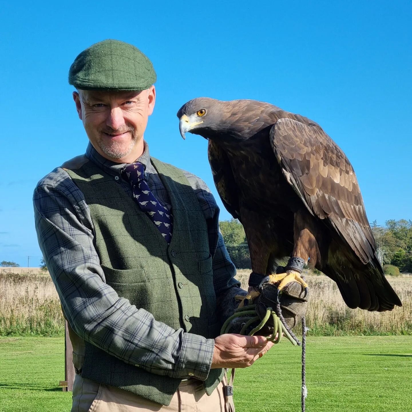 Getting Altai out for a Pittormie Castle booking. He loves it there!

#altaithegoldeneagle 
#goldeneagle #scottishfalconry