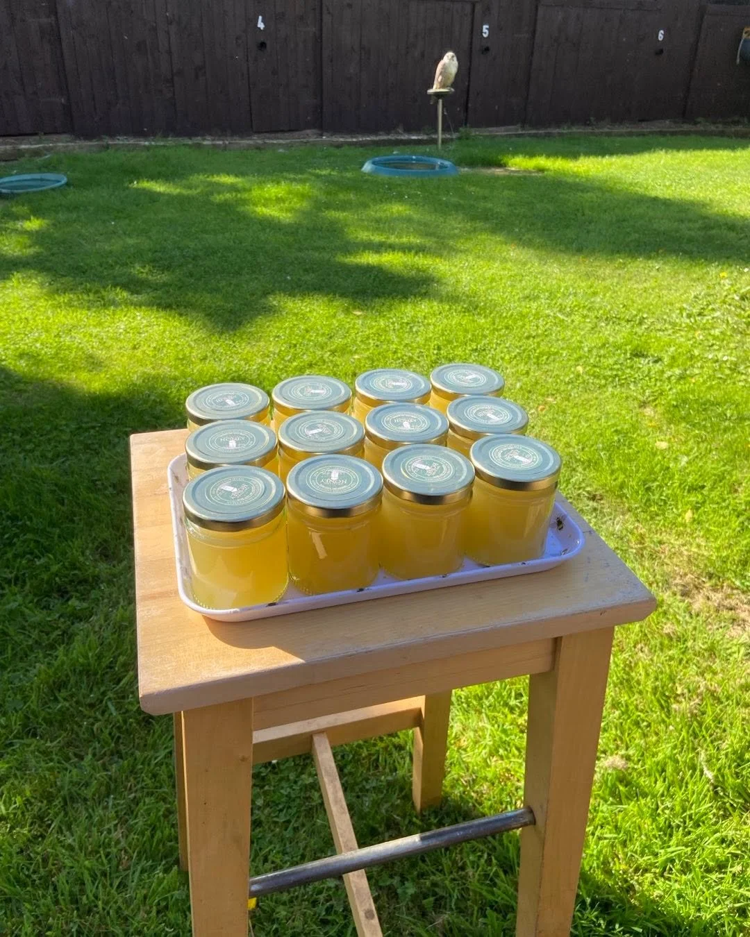 Stunning weather for my guests soon and the opportunity to buy The Scottish Countryman honey from our own apiary 🐝