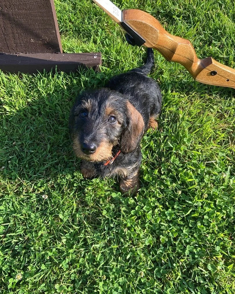 Great family in today for birds and archery