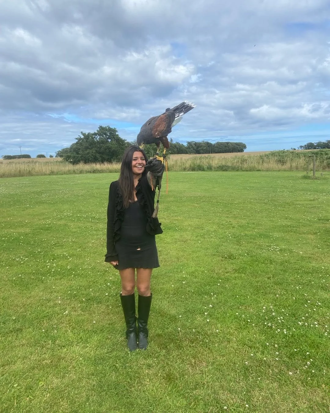 Great weather for flying a male Harris Hawk🦅