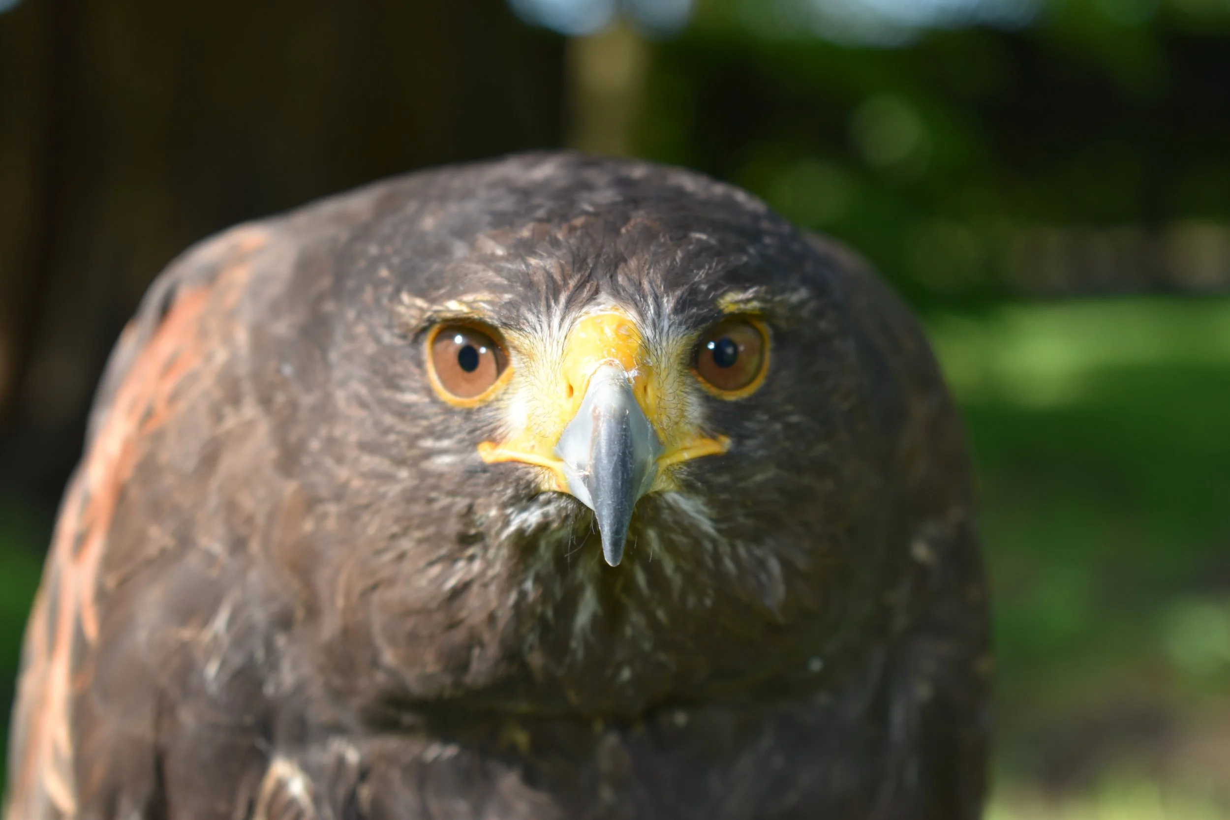 First batch Jan 2019 098.JPG