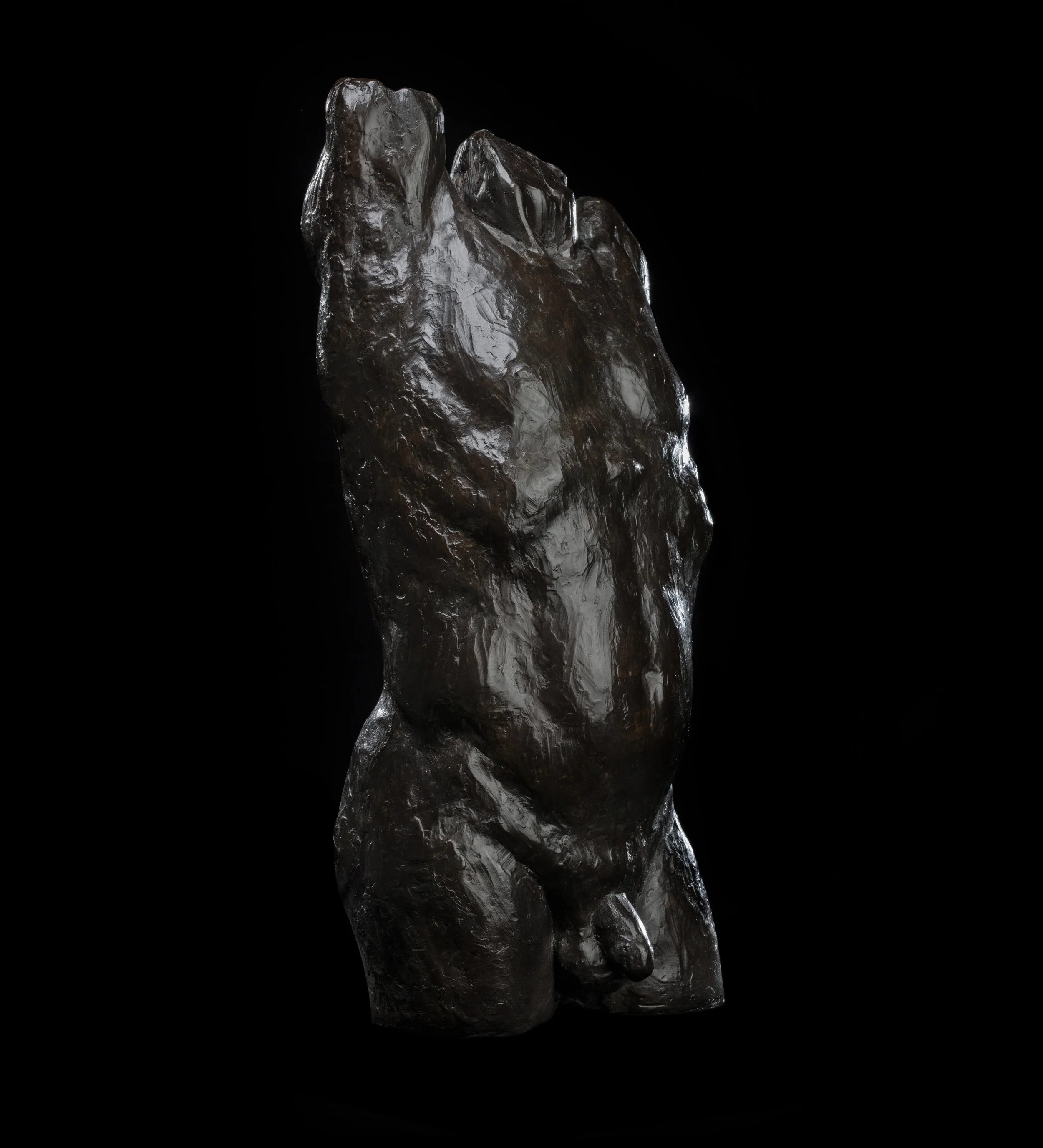 Male Torso