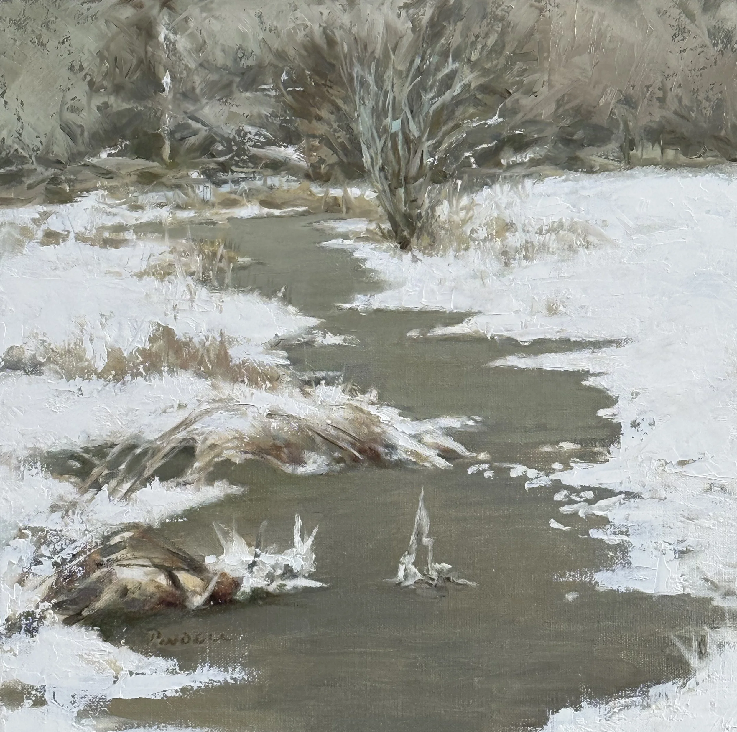 IMG_1271.jpg Snow Cloak.jpg