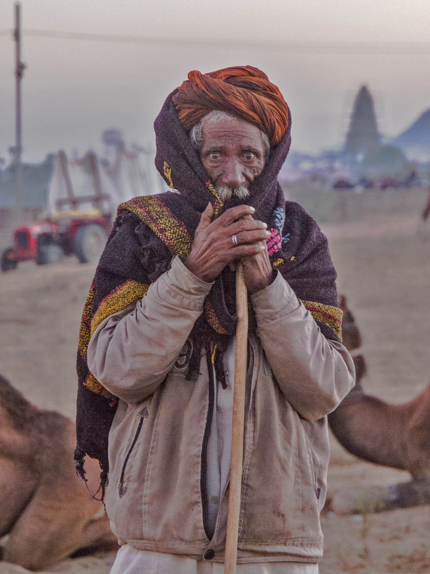 CamelDrivers 2_B117834-10.jpg