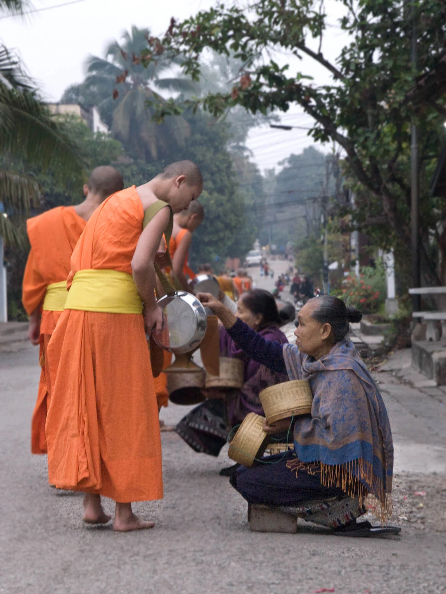 Alms2-P1211387-9.jpg