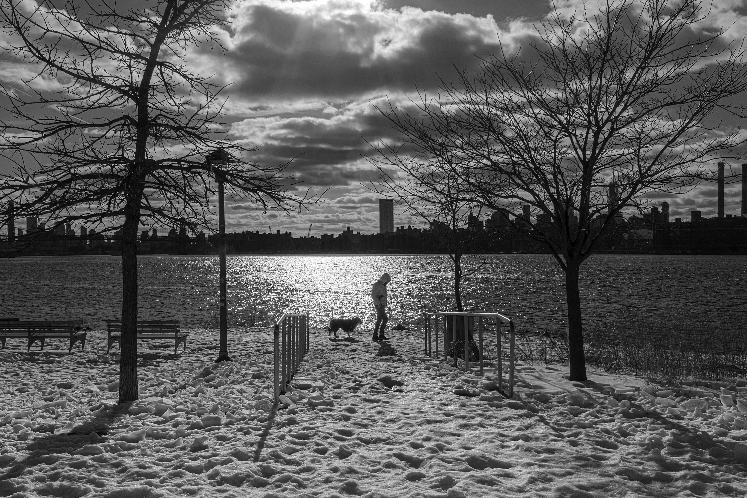 Dog Walk at Frozen Transmitter Park
