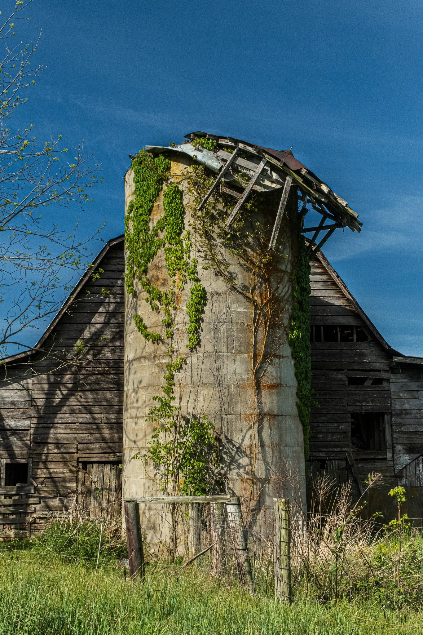 OldSilo_HawkinsFarm_WoodyEisenberg_05.2026_DSF4846.jpg