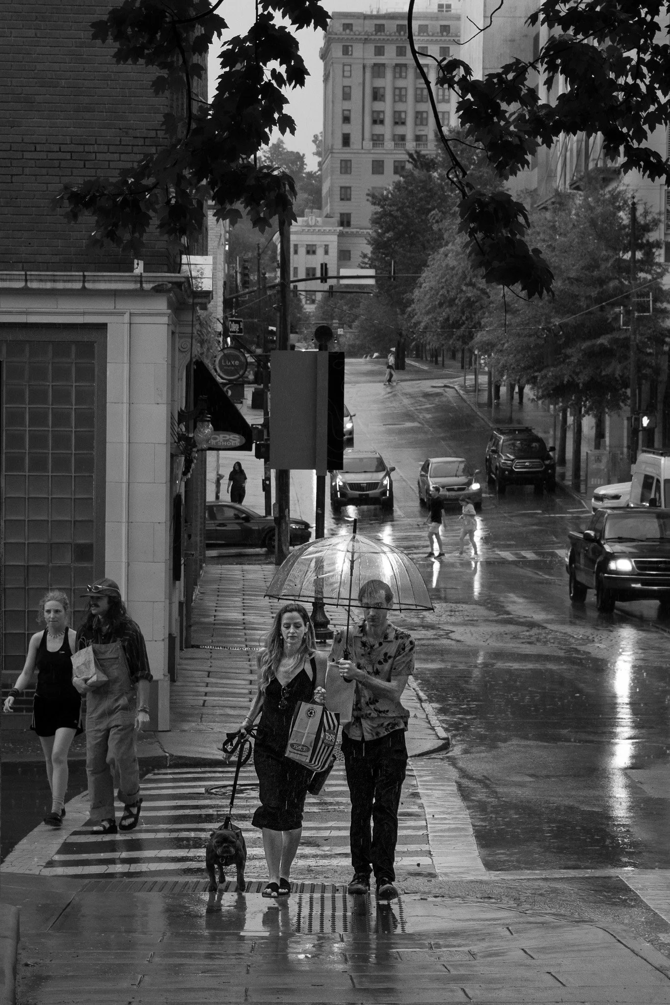 After the Downpour, Asheville