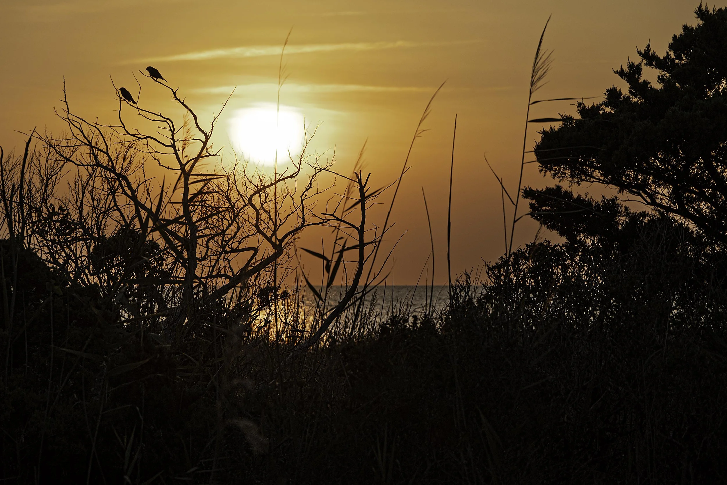 Sunset at the Haulover Beach, Outer Banks