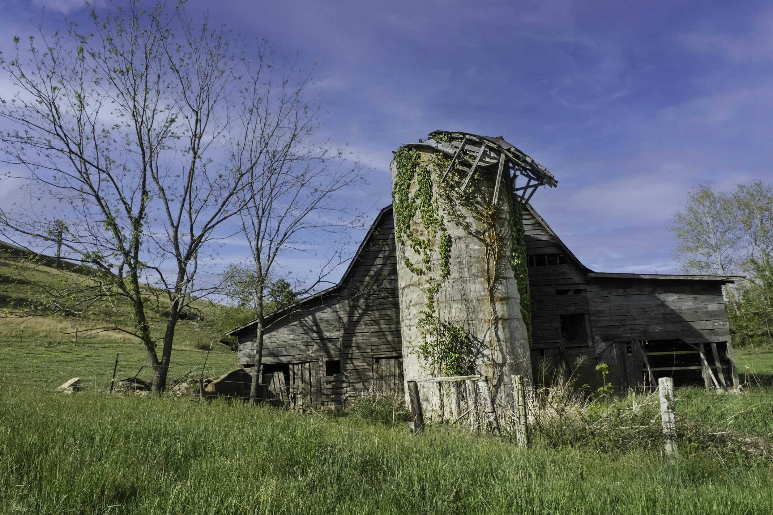 Barn&Silo_HawkinsFArm_WoodyEisenberg_05.2026_DSF4845 copy.jpg