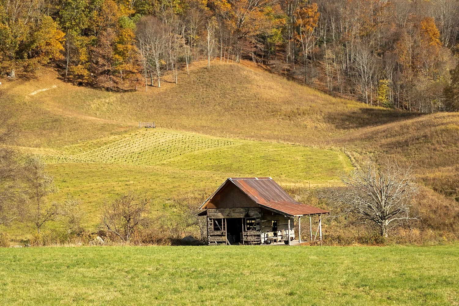 FarmHouse_DSF8881-Edit.jpg
