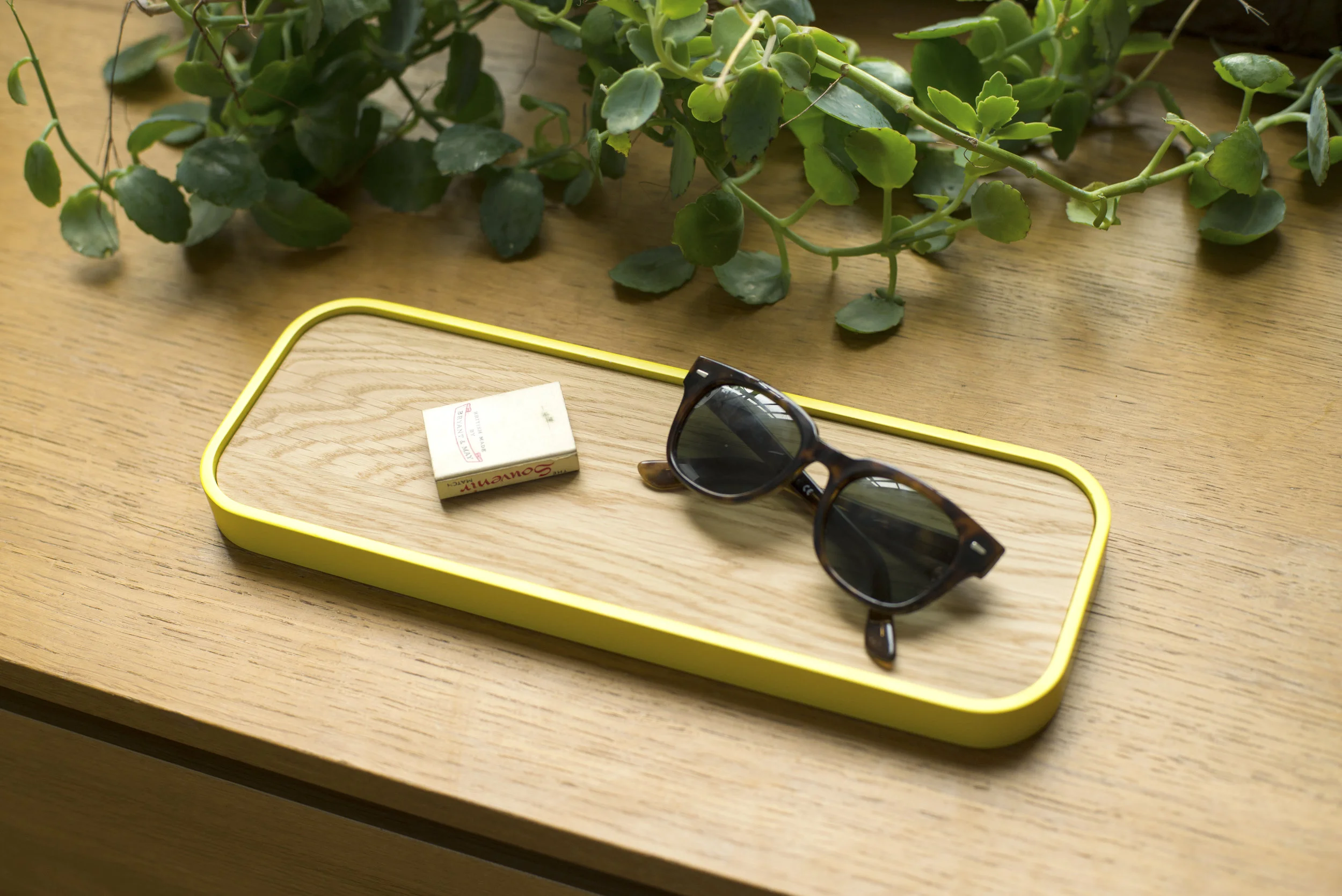 brosefogale_tray_yellow_0674.jpg