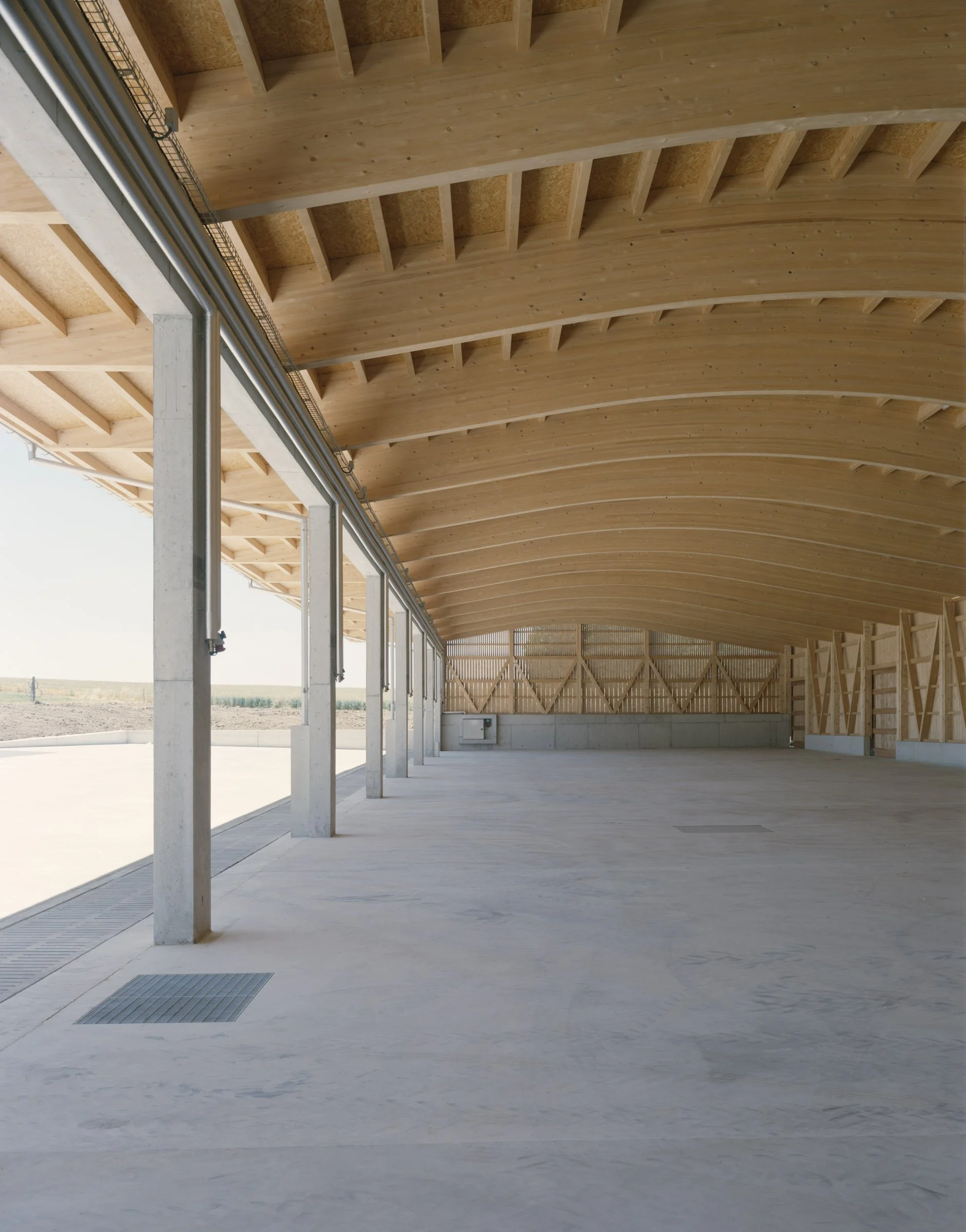 Roggo und Widmer_Kalchrain_Offenfrontstall und Nebengebäude_Low-Res-45.jpg