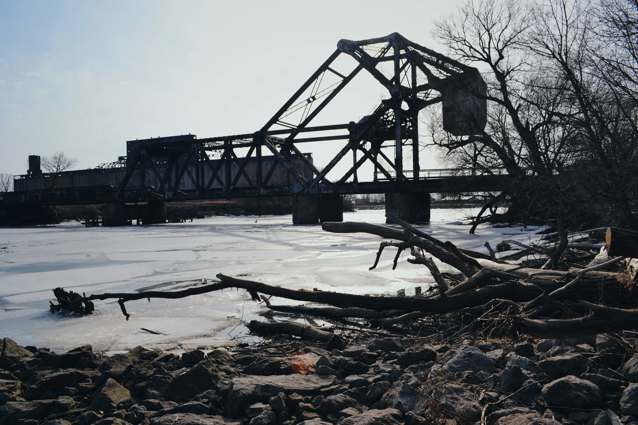 DSC_0212.JPEG