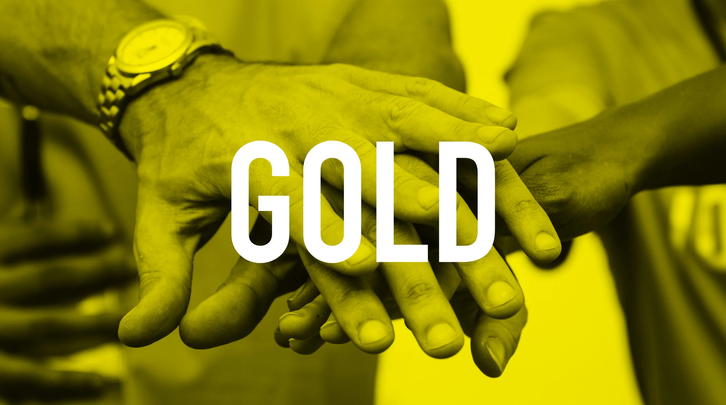 CATALYST GOLD Sponsorship