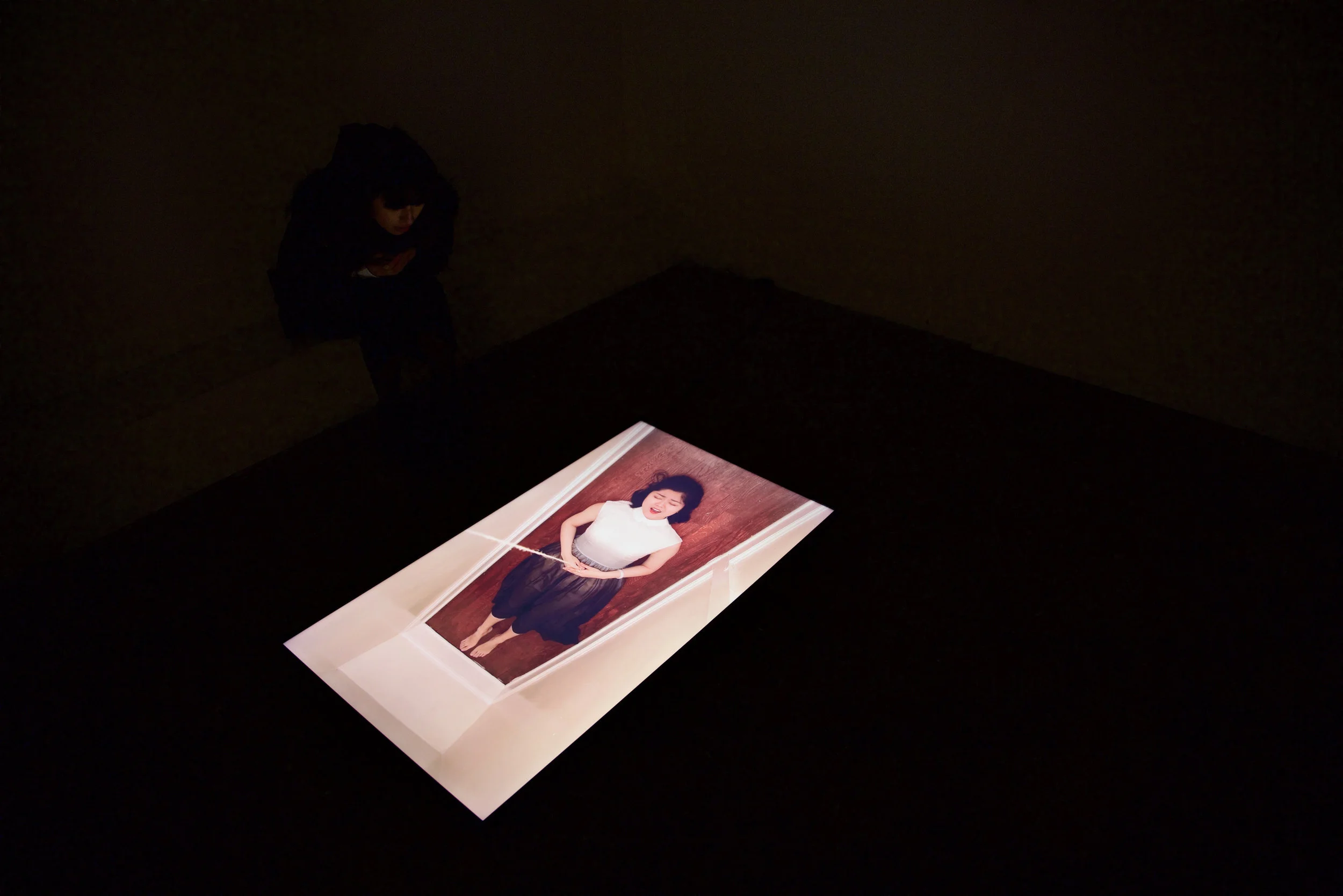 Luxin Zhang , The Swan installation Shot | Art Helix, Brooklyn, NY