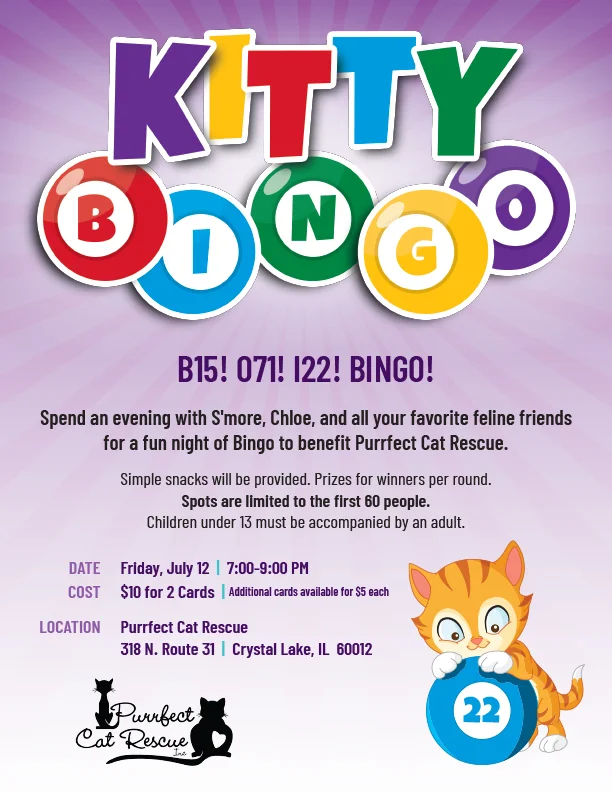 kitty_bingo_flyer_071219_1200x1553.jpg