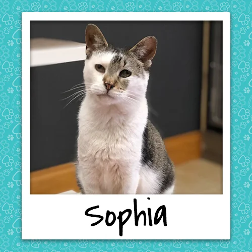 sophia_bio_500x500.jpg