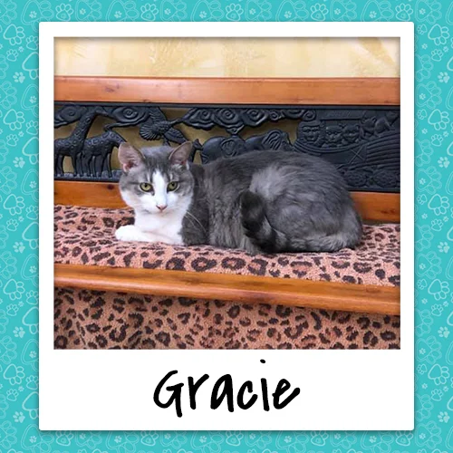 gracie_bio_500x500.jpg