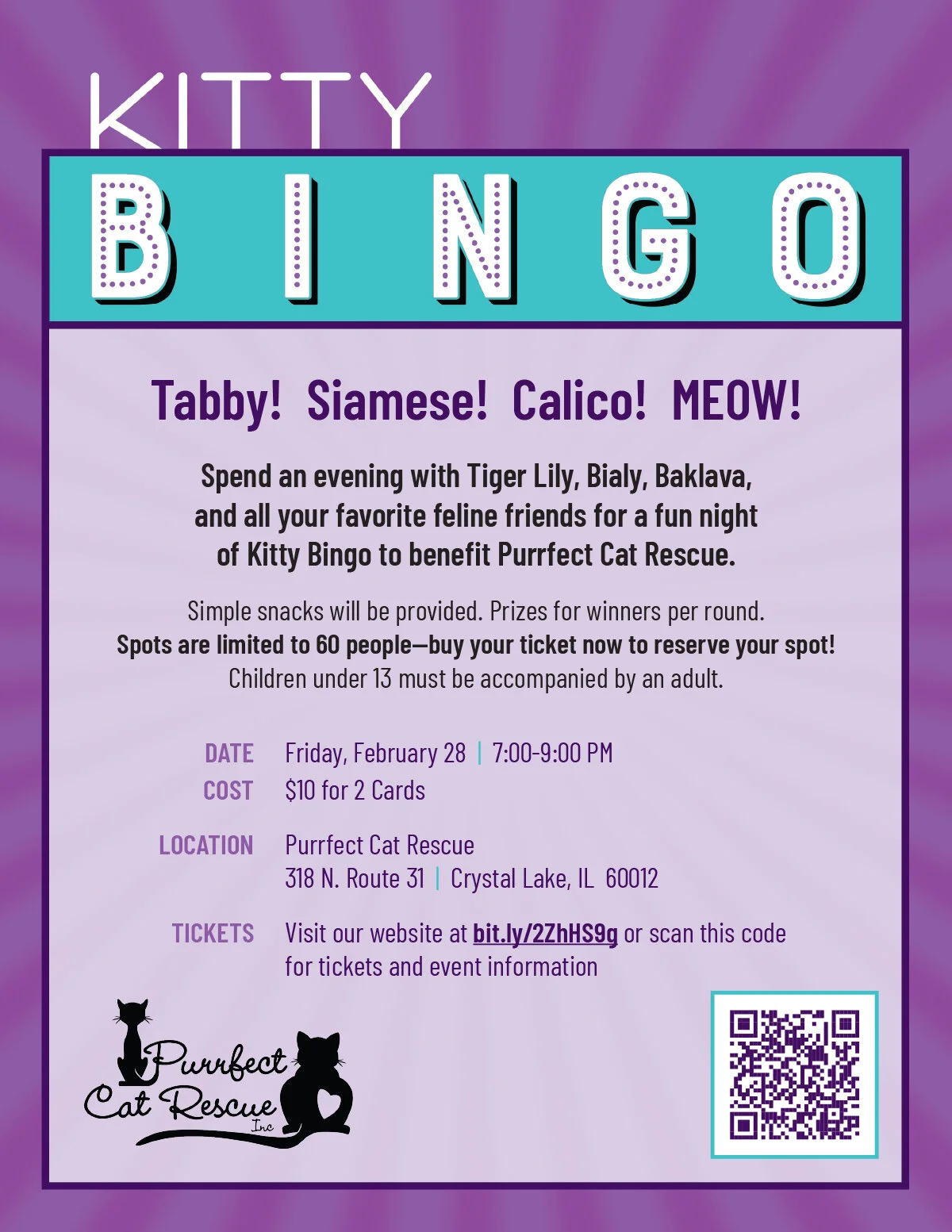 Kitty Bingo Com