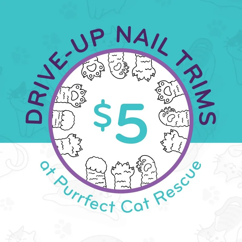 Drive-Up Nail Trim Event at Purrfect Cat Rescue [PREVIOUS ADOPTERS ONLY]