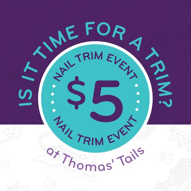 Nail Trim Event at Thomas’ Tails!