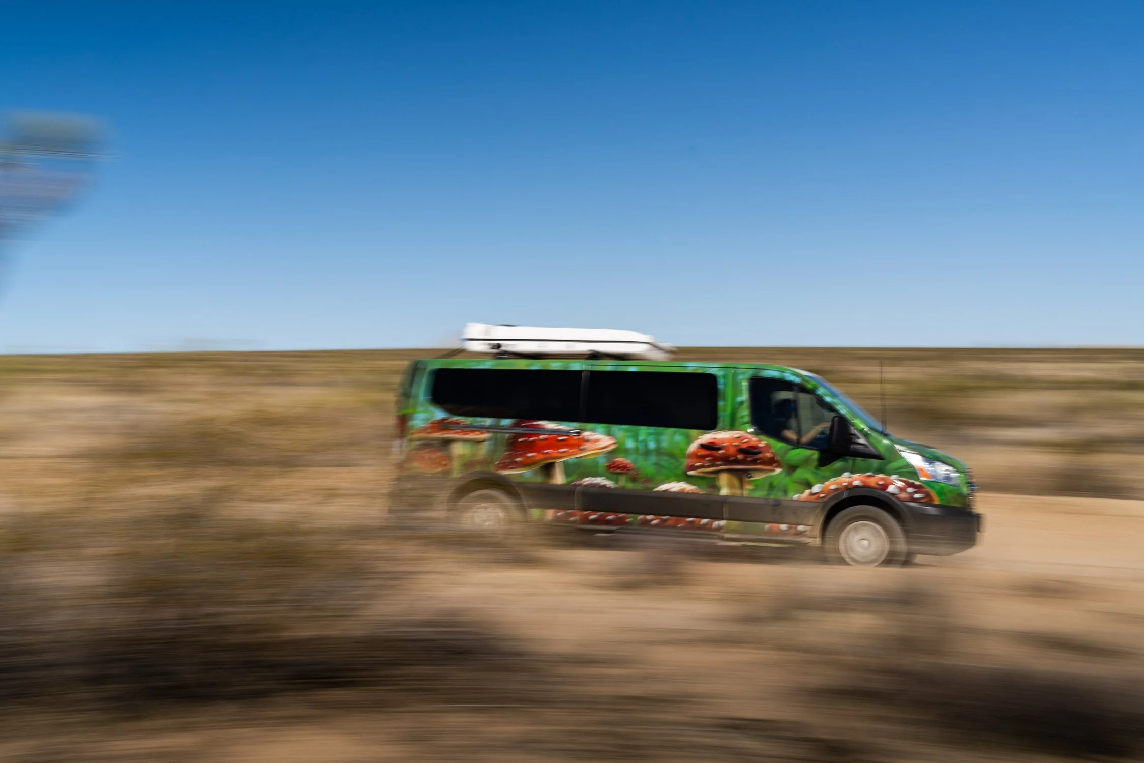 DALTONJOHNSON_220210_DAY 4 88 HOUR PROJECT DRIVING VEHICLES KRISTIN_JOSHUA TREE, CA_00617.jpg