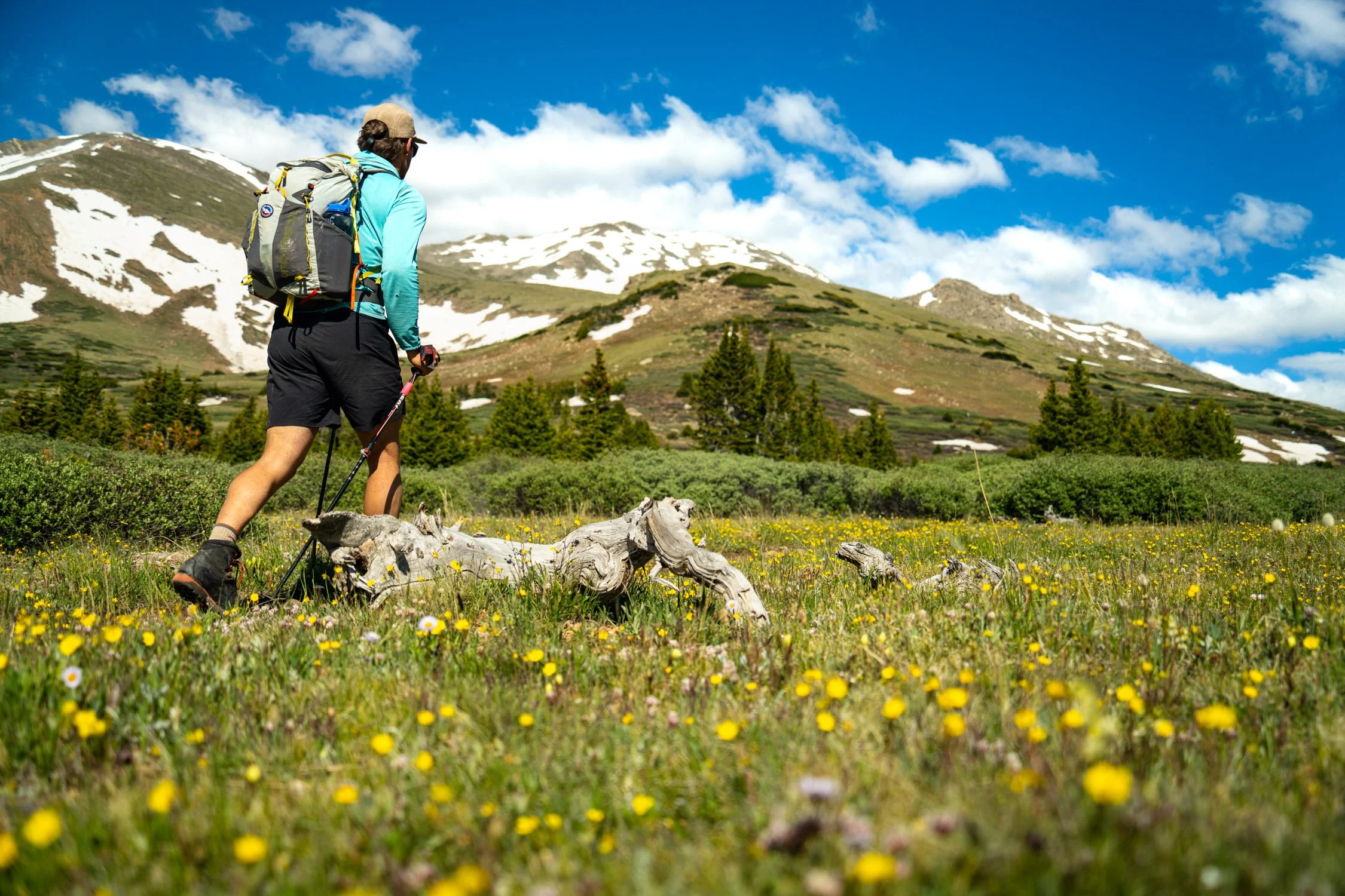 A person hiking through a meadow with yellow flowers near snow-capped mountains and a blue sky with clouds.
