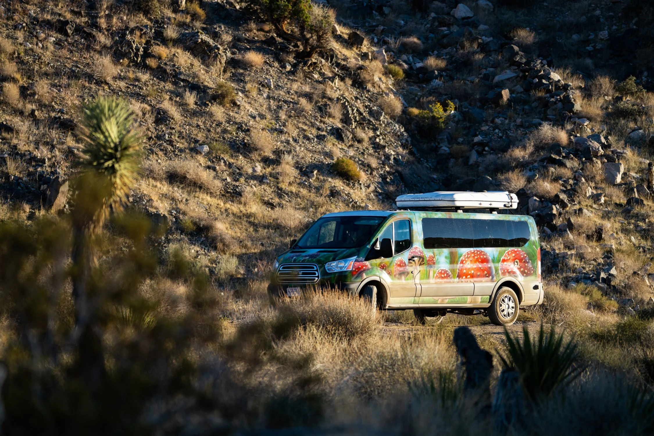 DALTONJOHNSON_220210_DAY 4 88 HOUR PROJECT DRIVING VEHICLES KRISTIN_JOSHUA TREE, CA_00748.jpg