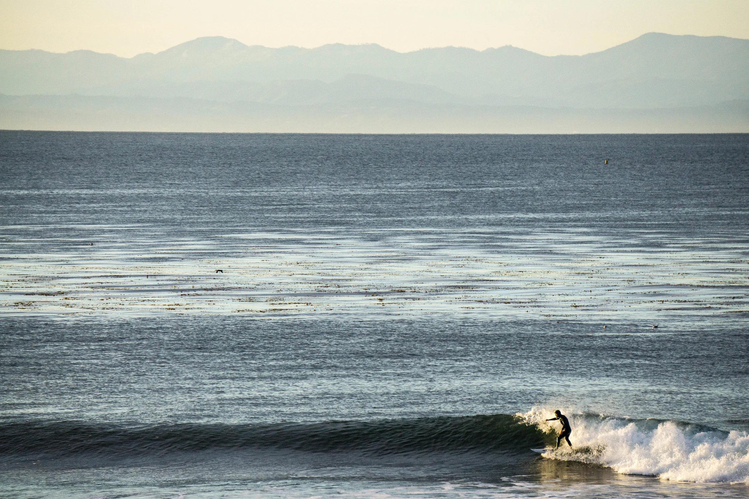 Dawn Patrol on a clear morning at Pleasure Point