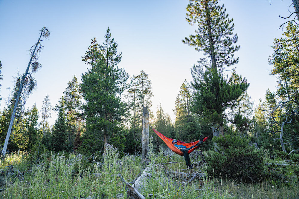 Four Must-Chill Hammock Spots