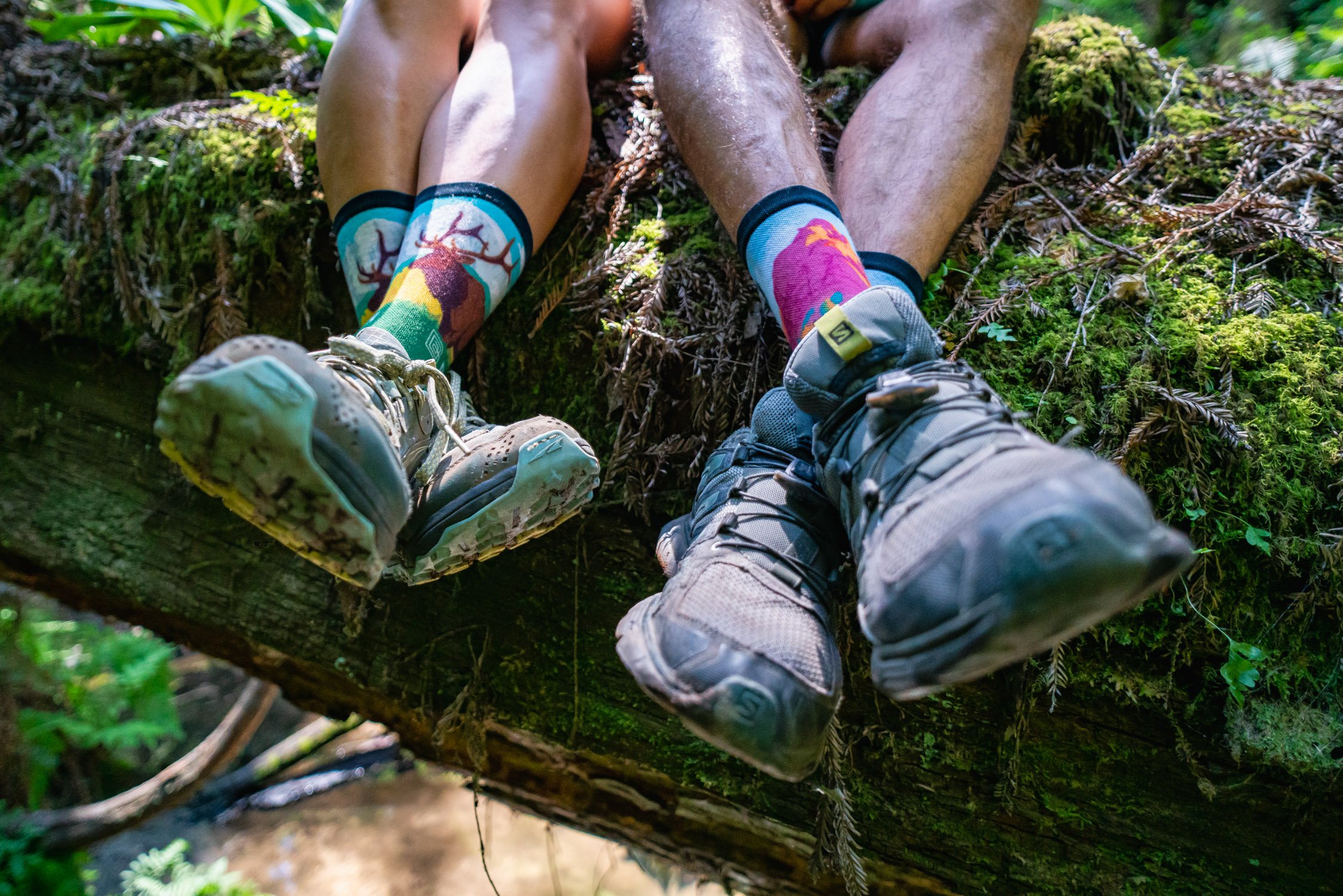 Redwood Forest with Caitlyn, Hektor, and Kat in Santa Cruz, CA