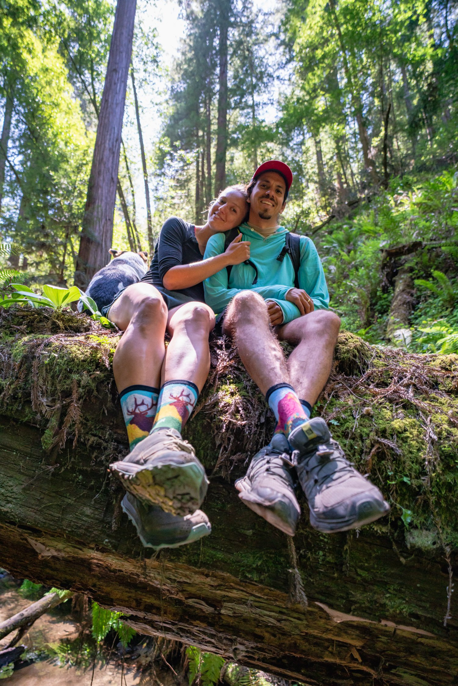 Redwood Forest with Caitlyn, Hektor, and Kat in Santa Cruz, CA
