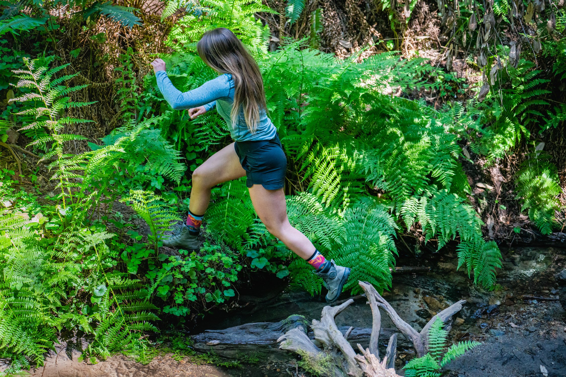 Redwood Forest with Caitlyn, Hektor, and Kat in Santa Cruz, CA