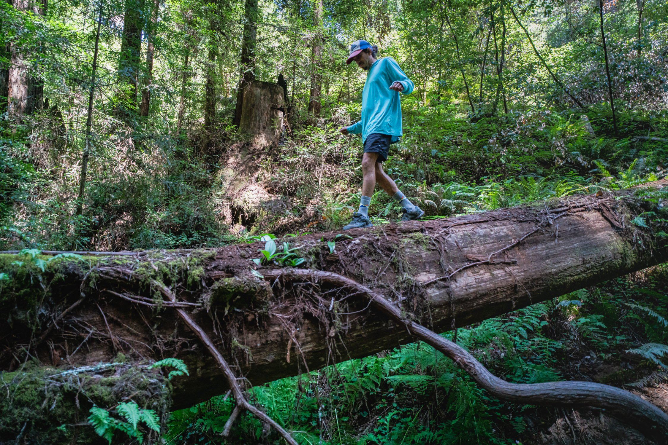 Redwood Forest with Caitlyn, Hektor, and Kat in Santa Cruz, CA